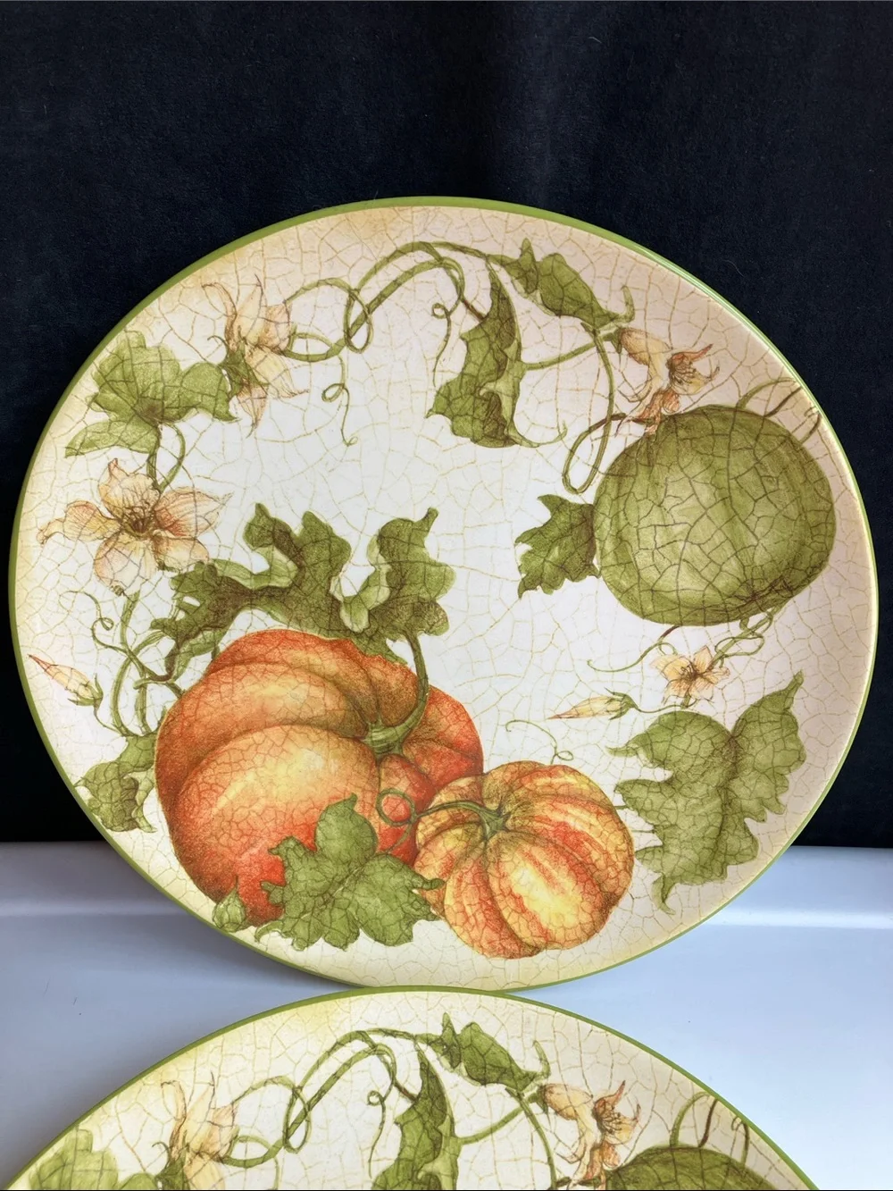Pier 1 Harvest Garden 2 Dinner Plates 11